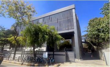 S&S Regal (S and S Regal)